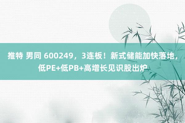 推特 男同 600249，3连板！新式储能加快落地，低PE+低PB+高增长见识股出炉