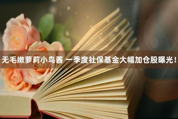 无毛嫩萝莉小鸟酱 一季度社保基金大幅加仓股曝光！