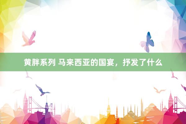黄胖系列 马来西亚的国宴，抒发了什么
