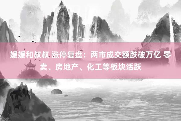 媛媛和叔叔 涨停复盘：两市成交额跌破万亿 零卖、房地产、化工等板块活跃