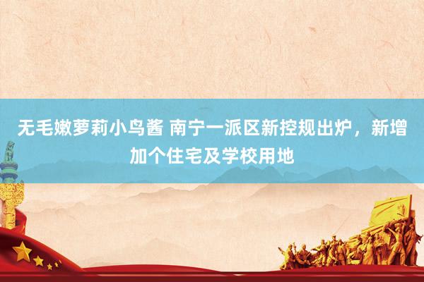 无毛嫩萝莉小鸟酱 南宁一派区新控规出炉，新增加个住宅及学校用地