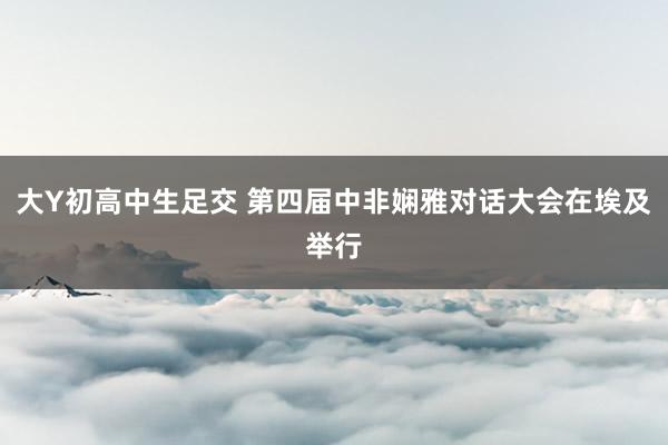 大Y初高中生足交 第四届中非娴雅对话大会在埃及举行