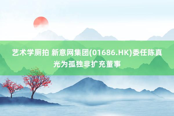 艺术学厕拍 新意网集团(01686.HK)委任陈真光为孤独非扩充董事