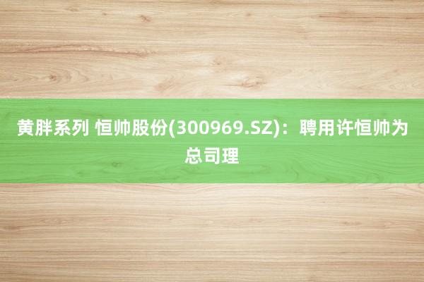 黄胖系列 恒帅股份(300969.SZ)：聘用许恒帅为总司理