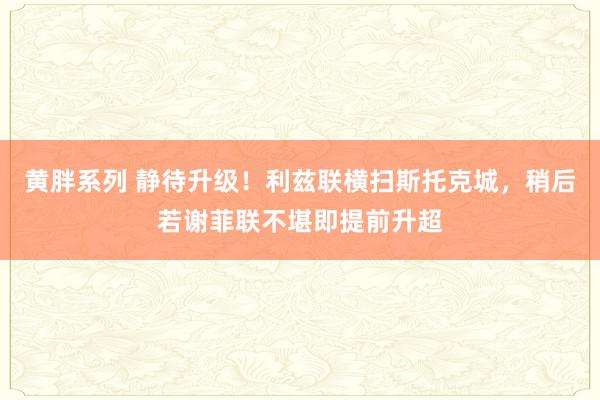 黄胖系列 静待升级！利兹联横扫斯托克城，稍后若谢菲联不堪即提前升超