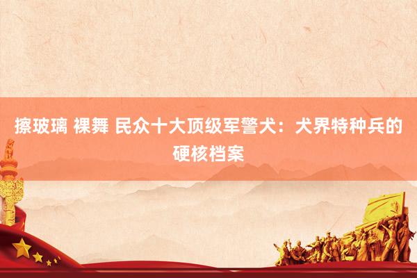 擦玻璃 裸舞 民众十大顶级军警犬：犬界特种兵的硬核档案