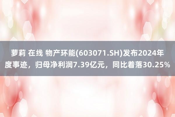 萝莉 在线 物产环能(603071.SH)发布2024年度事迹，归母净利润7.39亿元，同比着落30.25%