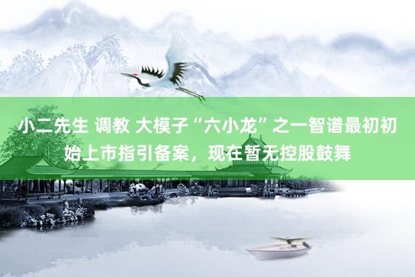 小二先生 调教 大模子“六小龙”之一智谱最初初始上市指引备案，现在暂无控股鼓舞