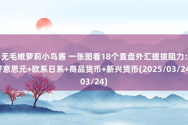 无毛嫩萝莉小鸟酱 一张图看18个直盘外汇提拔阻力：好意思元+欧系日系+商品货币+新兴货币(2025/03/24)