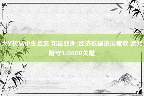 大Y初高中生足交 邦达亚洲:经济数据进展疲软 欧元险守1.0800关隘