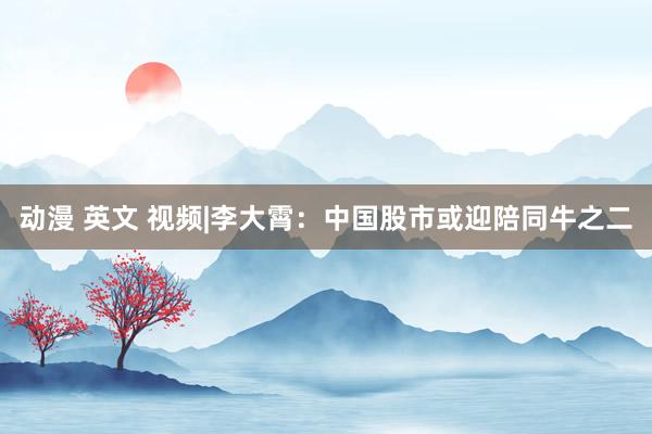 动漫 英文 视频|李大霄：中国股市或迎陪同牛之二