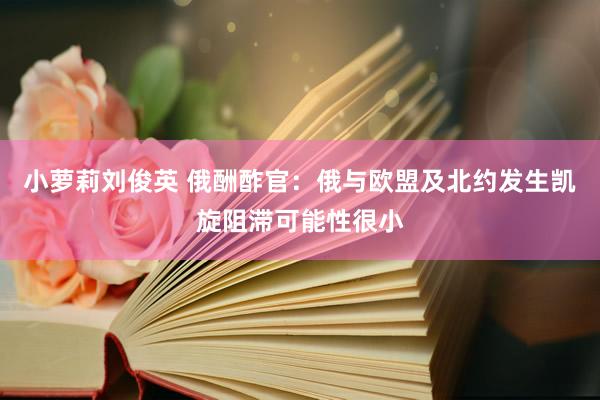 小萝莉刘俊英 俄酬酢官：俄与欧盟及北约发生凯旋阻滞可能性很小