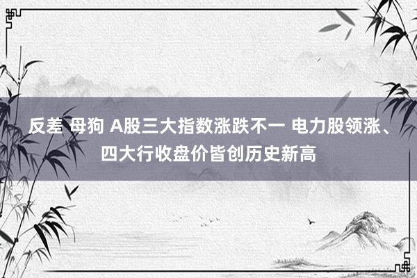 反差 母狗 A股三大指数涨跌不一 电力股领涨、四大行收盘价皆创历史新高