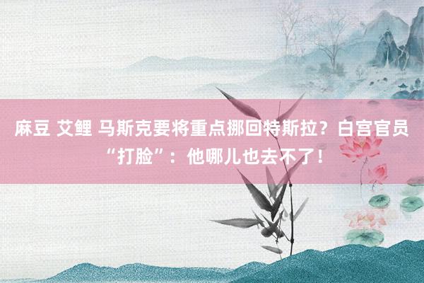 麻豆 艾鲤 马斯克要将重点挪回特斯拉？白宫官员“打脸”：他哪儿也去不了！