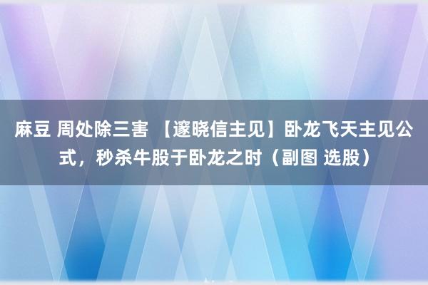 麻豆 周处除三害 【邃晓信主见】卧龙飞天主见公式，秒杀牛股于卧龙之时（副图 选股）
