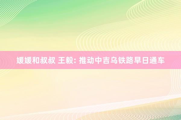 媛媛和叔叔 王毅: 推动中吉乌铁路早日通车