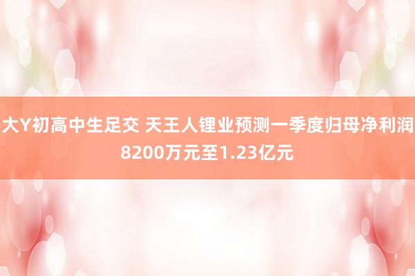大Y初高中生足交 天王人锂业预测一季度归母净利润8200万元至1.23亿元