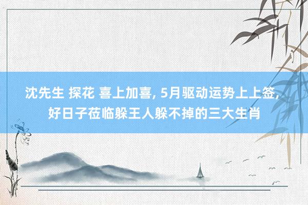 沈先生 探花 喜上加喜， 5月驱动运势上上签， 好日子莅临躲王人躲不掉的三大生肖