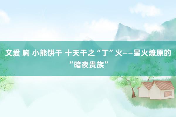 文爱 胸 小熊饼干 十天干之“丁”火——星火燎原的“暗夜贵族”