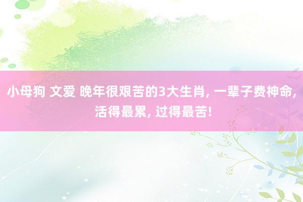 小母狗 文爱 晚年很艰苦的3大生肖， 一辈子费神命， 活得最累， 过得最苦!